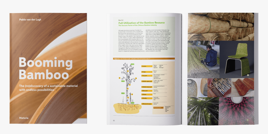 Booming Bamboo, HD Png Download