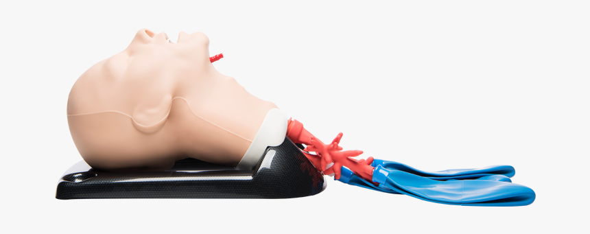 Airsim Combo Bronchi X, HD Png Download