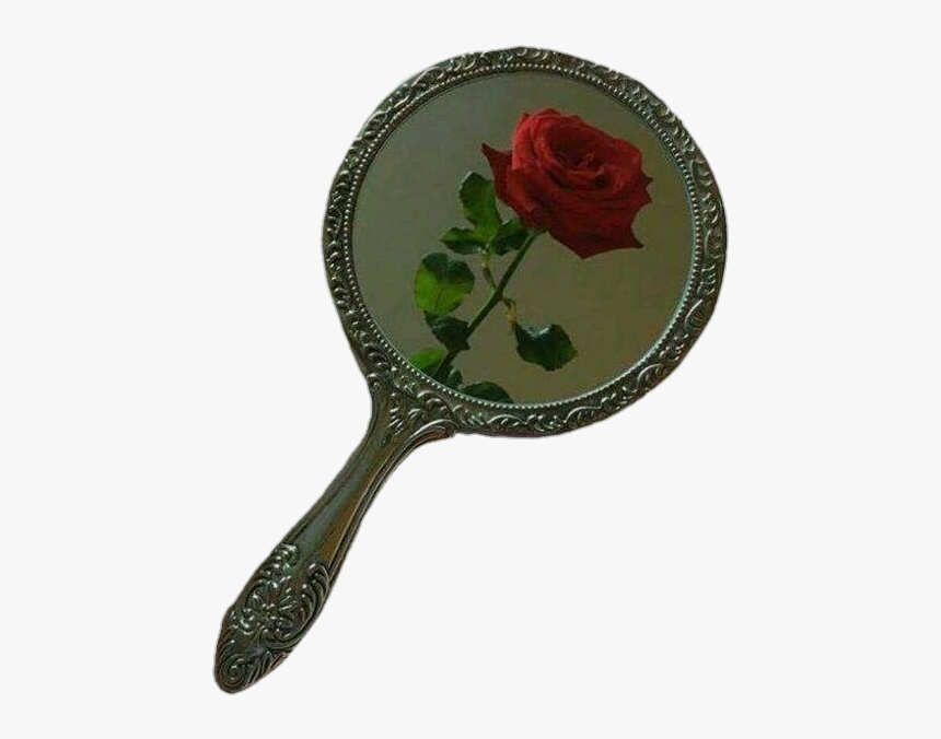 Image - Garden Roses, HD Png Download