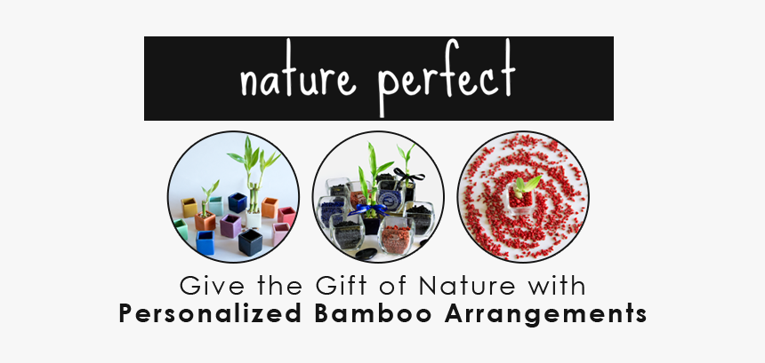 Fruit, HD Png Download