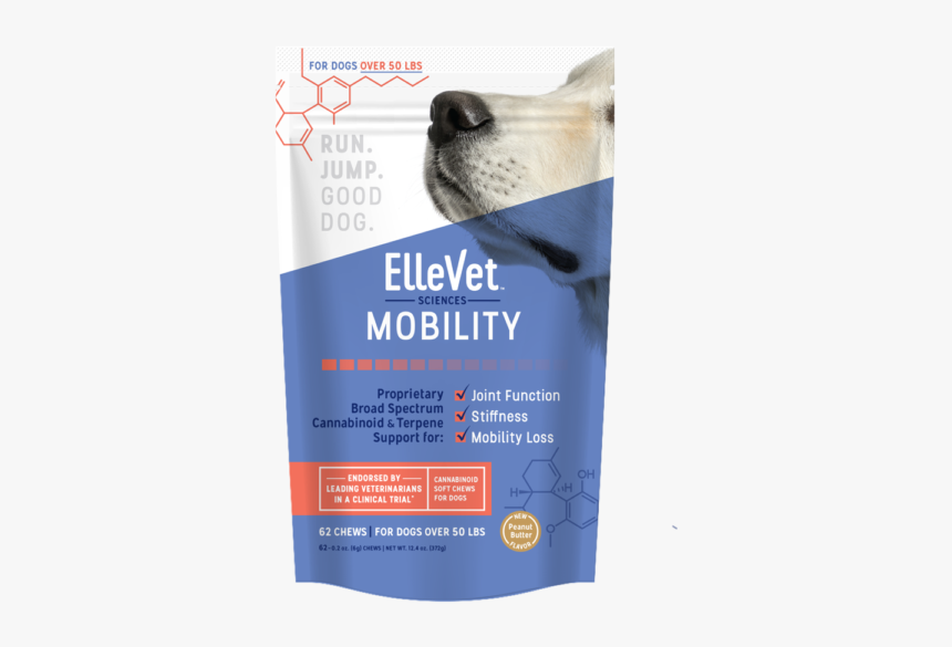 Companion Dog, HD Png Download