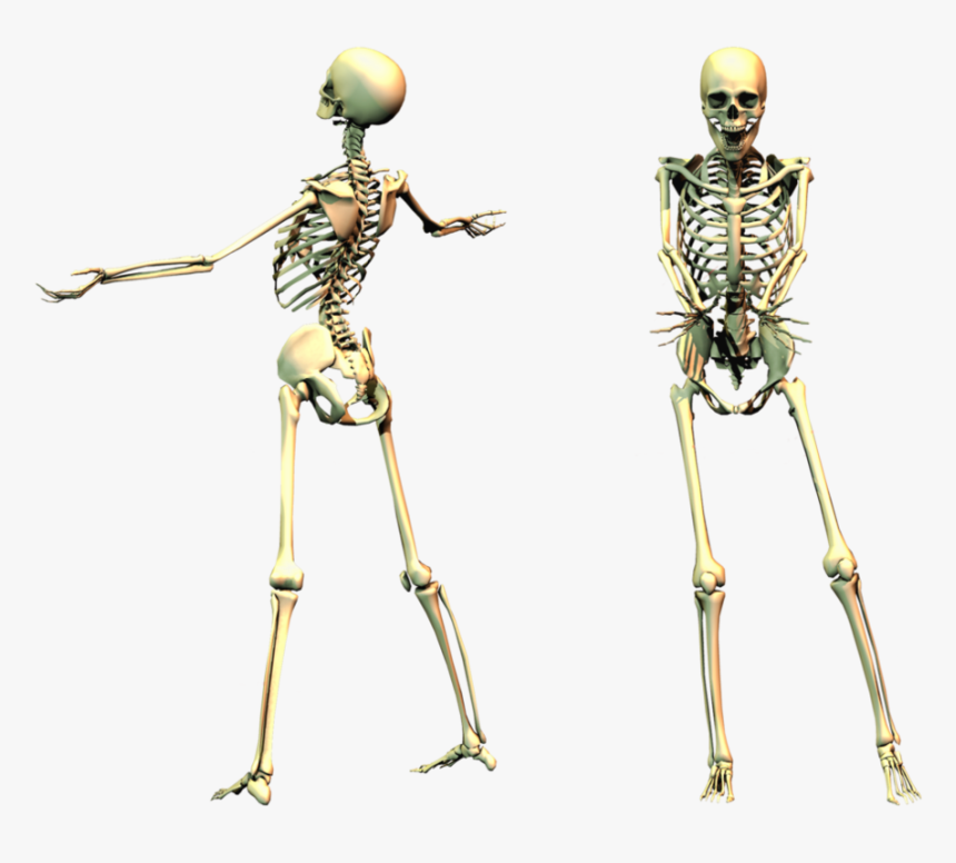 Full Body Skeleton Transparent - Spooky Skeleton Png, Png Download