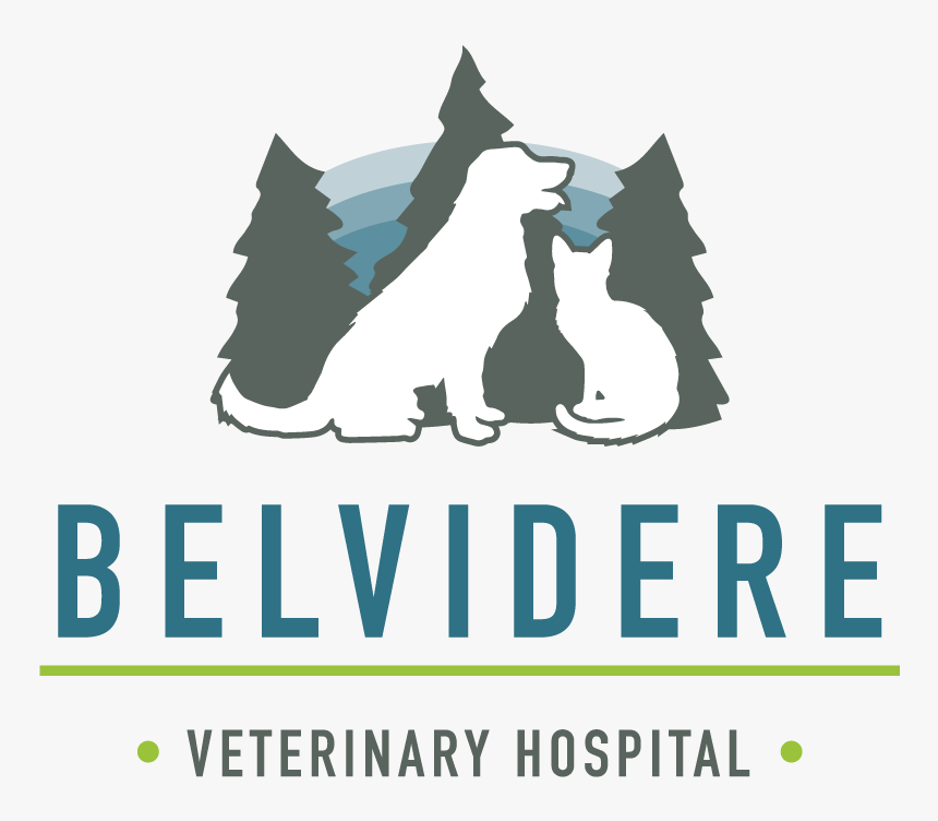 Belvidere Veterinary Hospital - Jim Crow Colored Sign, HD Png Download