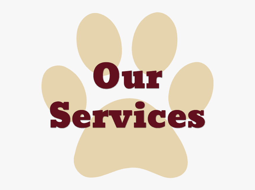 Caja Segovia Futbol Sala, HD Png Download