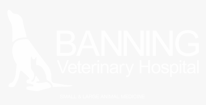 Banning Veterinary Hospital - Poster, HD Png Download
