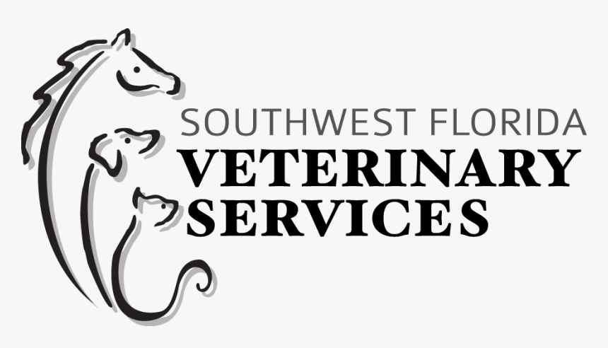 Southwest Fl Vet Final Logo - Calligraphy, HD Png Download