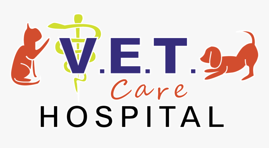 Vet Care Hospital - Graphic Design, HD Png Download