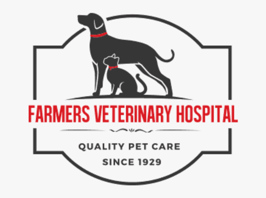 Hunting Dog, HD Png Download