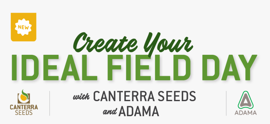 Create Your Ideal Field Day - Calligraphy, HD Png Download