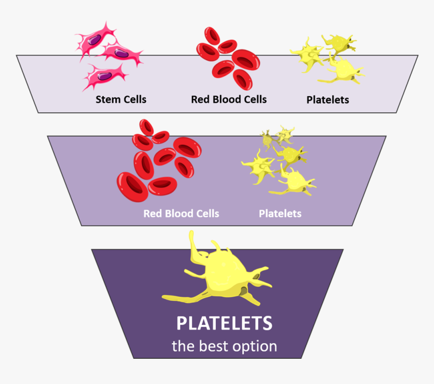 Purple Graphic With Icons For Platelets, Red Blood, HD Png Download