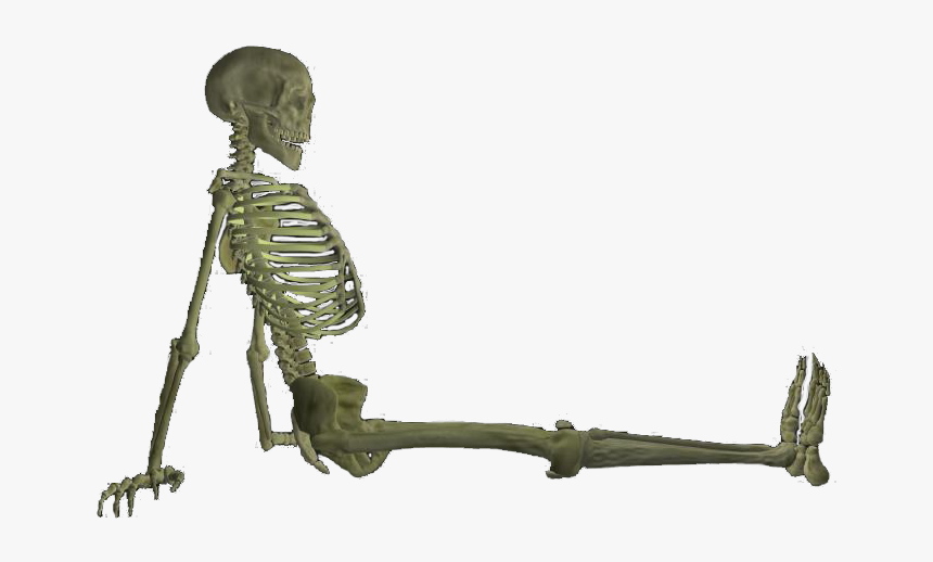 Full Body Skeleton Png Pic - Shotgun, Transparent Png