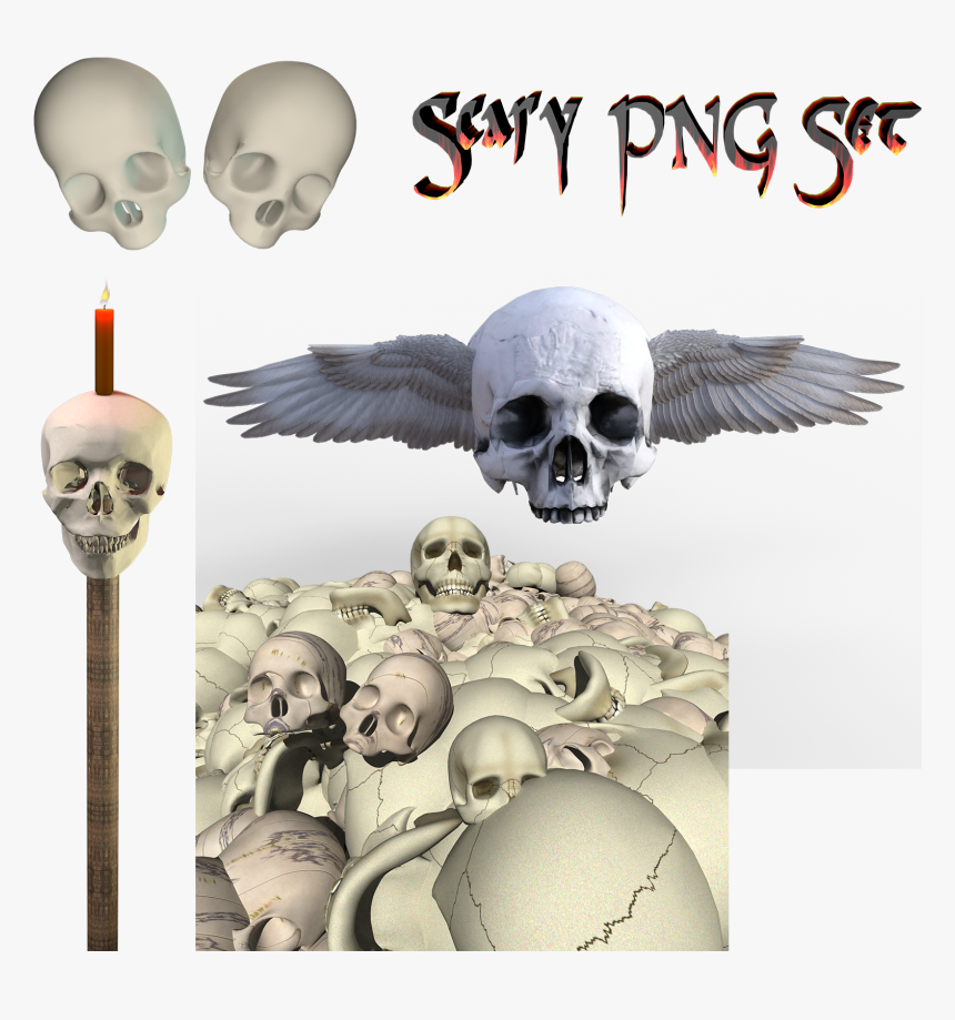 Skeleton .png, Transparent Png