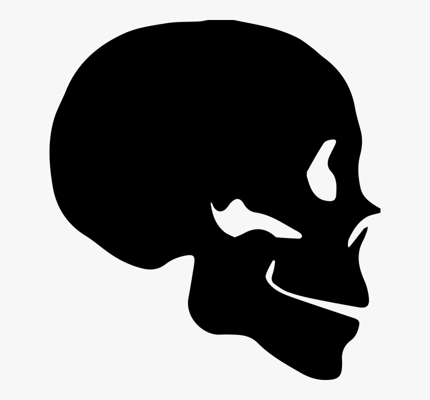 Skull Silhouette Transparent, HD Png Download