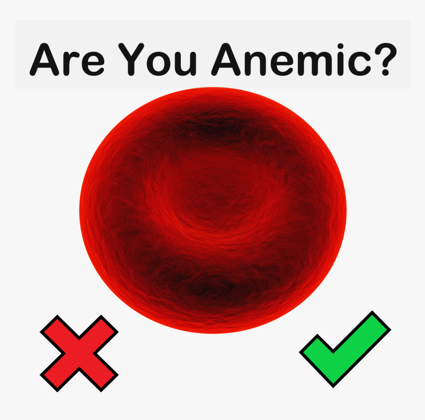 Are You Anemic - Circle, HD Png Download