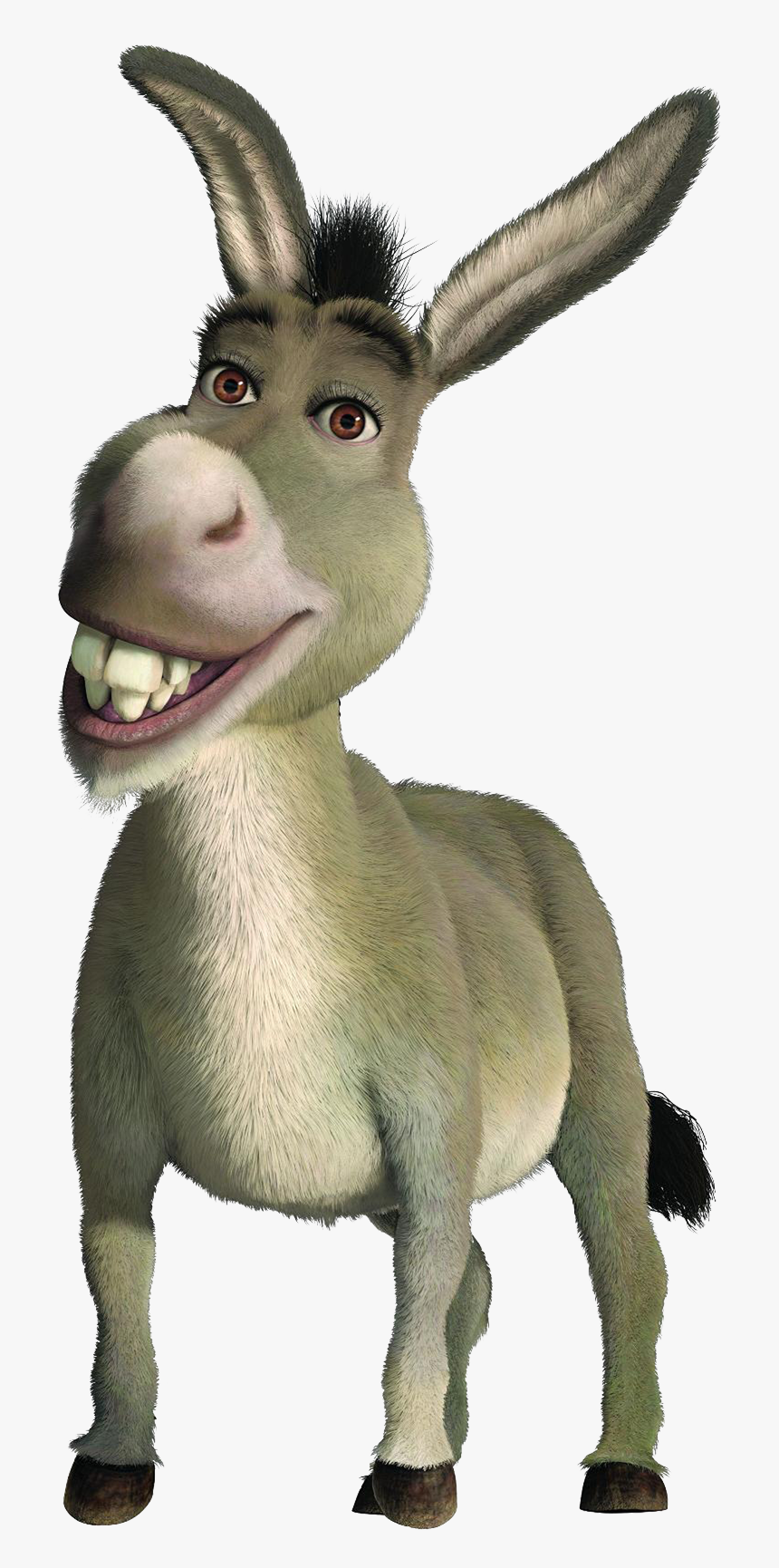 Donkey Shrek Im All Alone