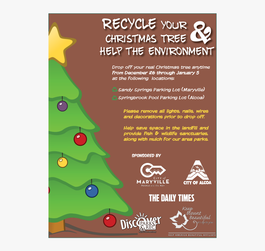 Picture - Christmas Tree, HD Png Download