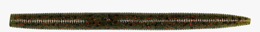 6 - Invertebrate, HD Png Download