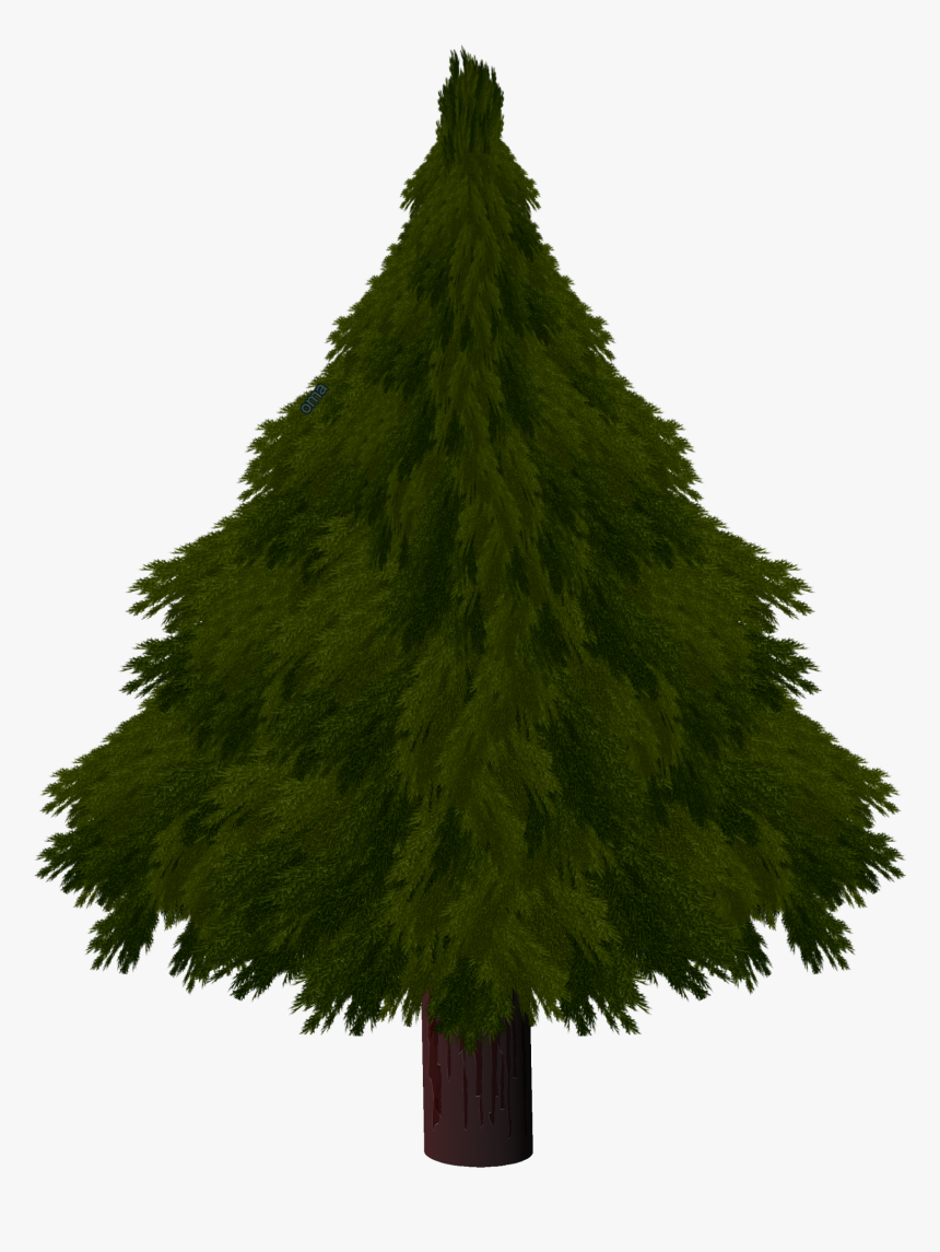 Transparent Tree Texture Png - Christmas Pine Texture Draw, Png Download