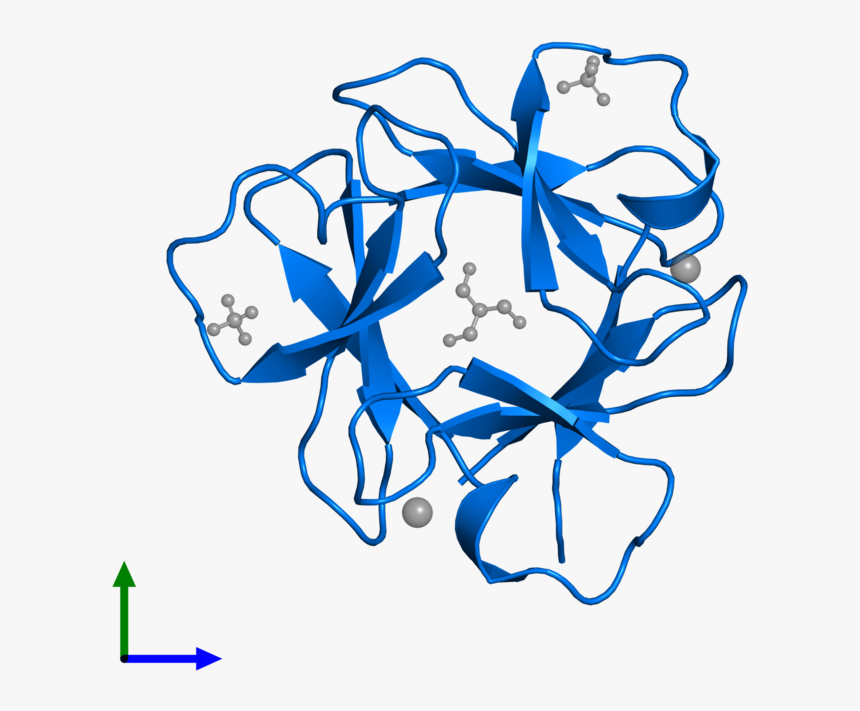 Clip Art, HD Png Download