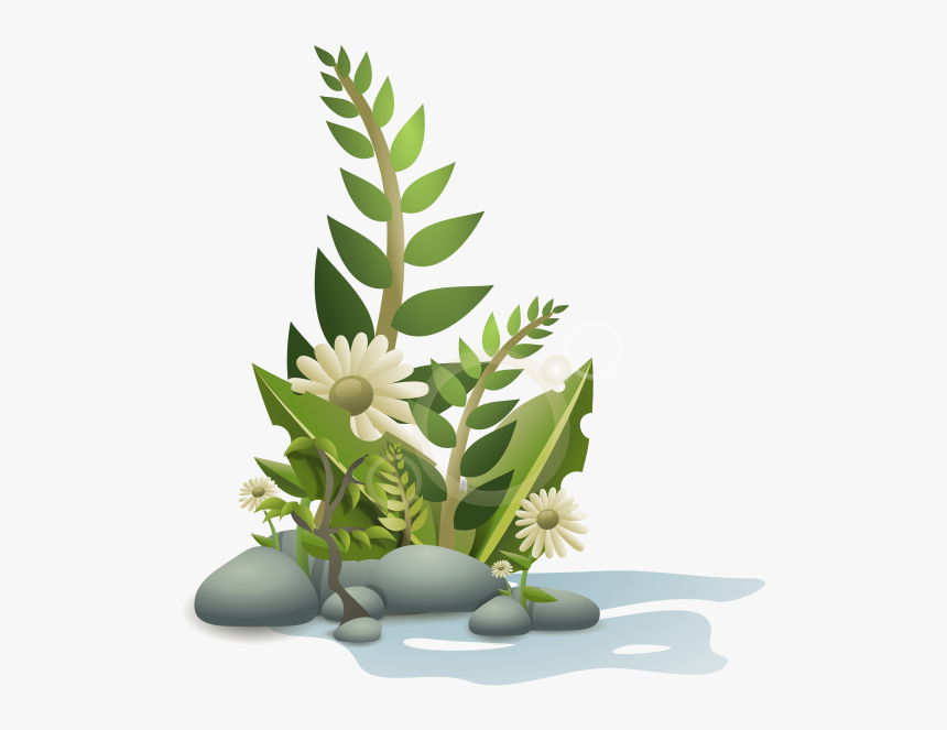 Plants Pebbles And Flowers Png Clip Arts - Plants Clipart, Transparent Png