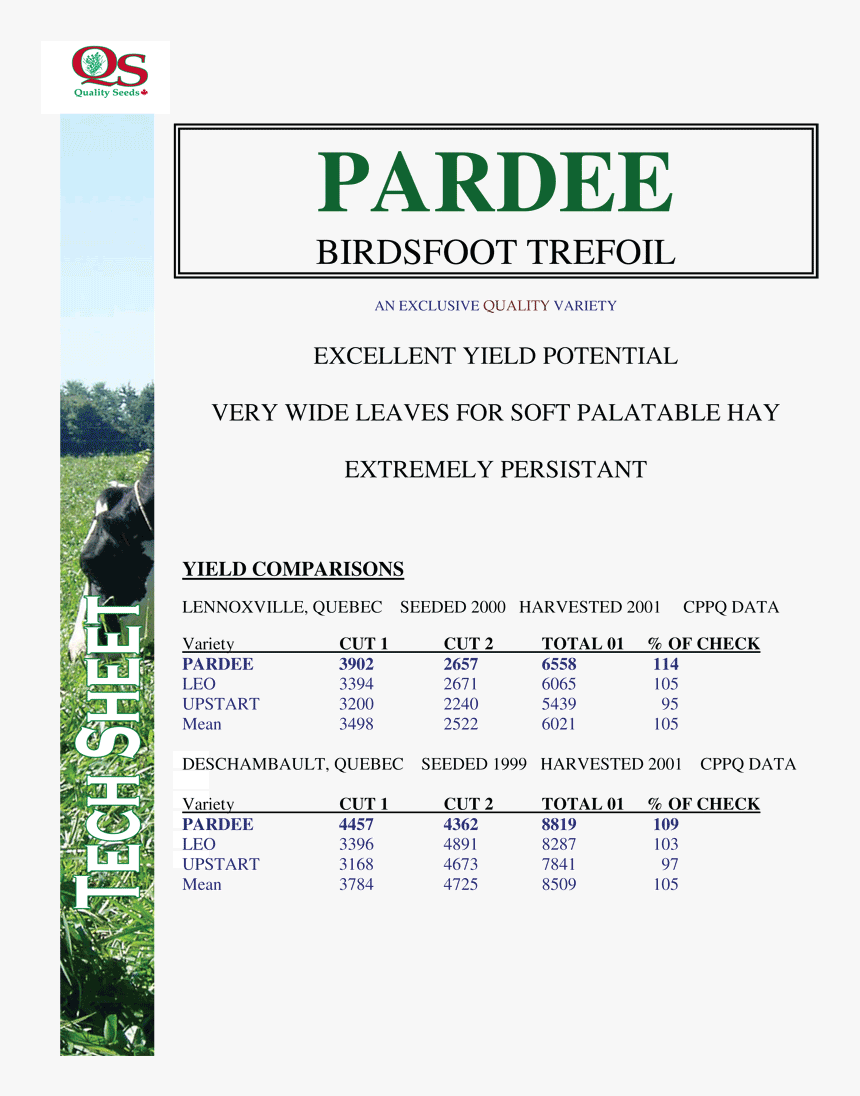 Pardee Birdsfoot Trefoil - Quality Seeds, HD Png Download