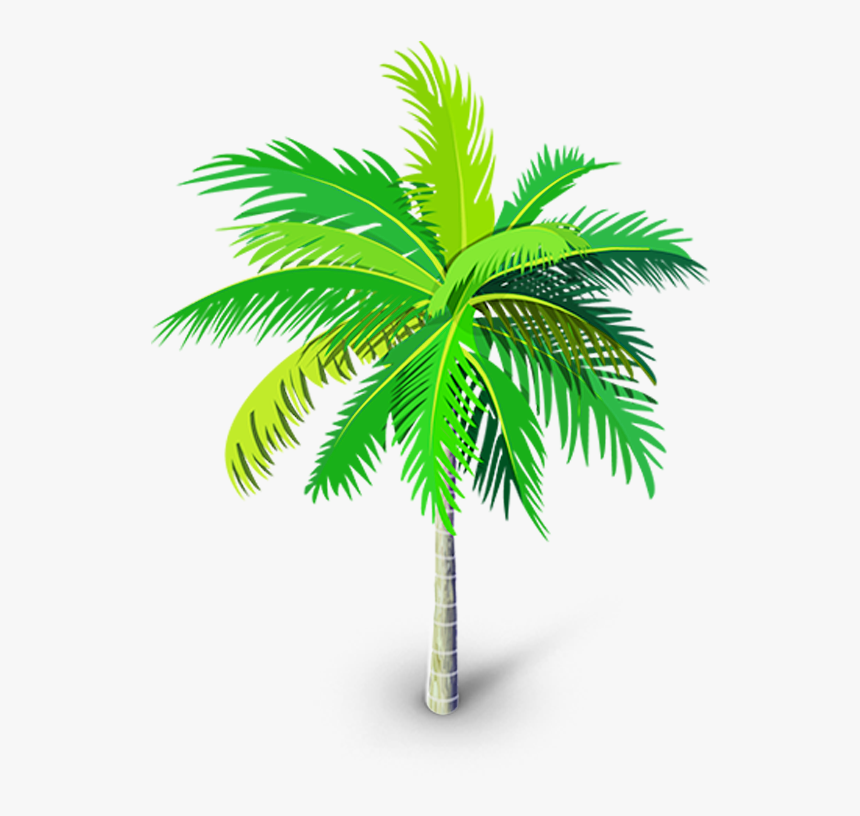 Transparent Palm Trees Png - Transparent Palm Tree Vector, Png Download