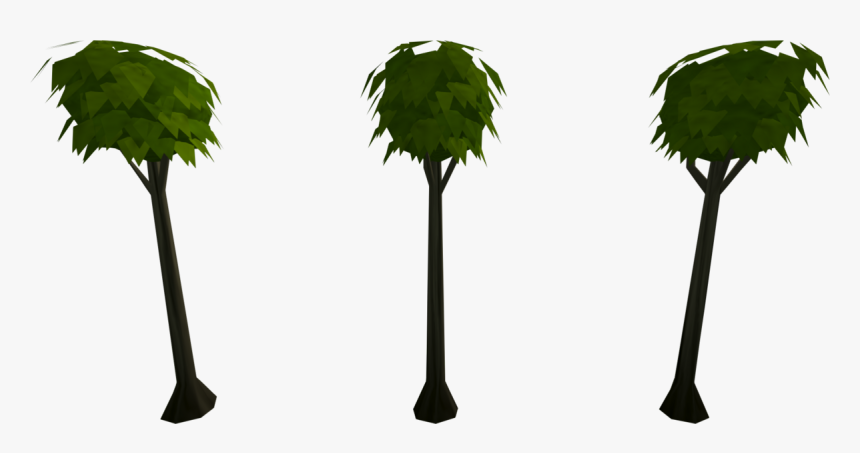 Palm Tree, HD Png Download