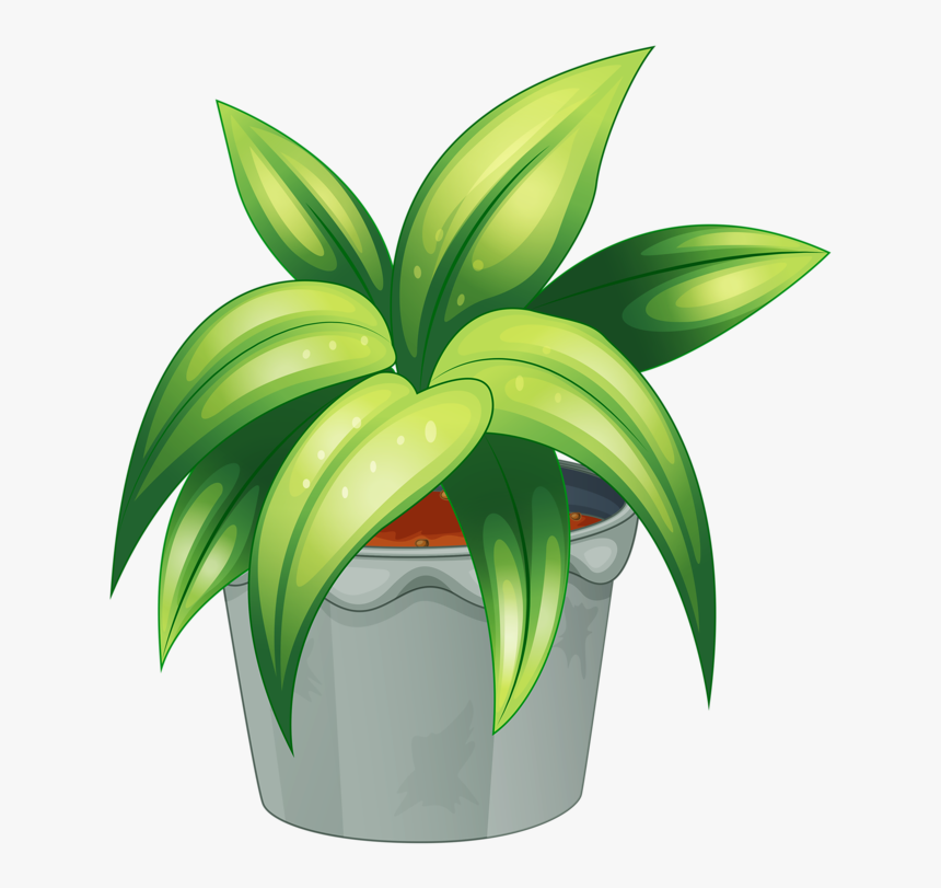 Flower Pot 59 - Leafy Plants, HD Png Download