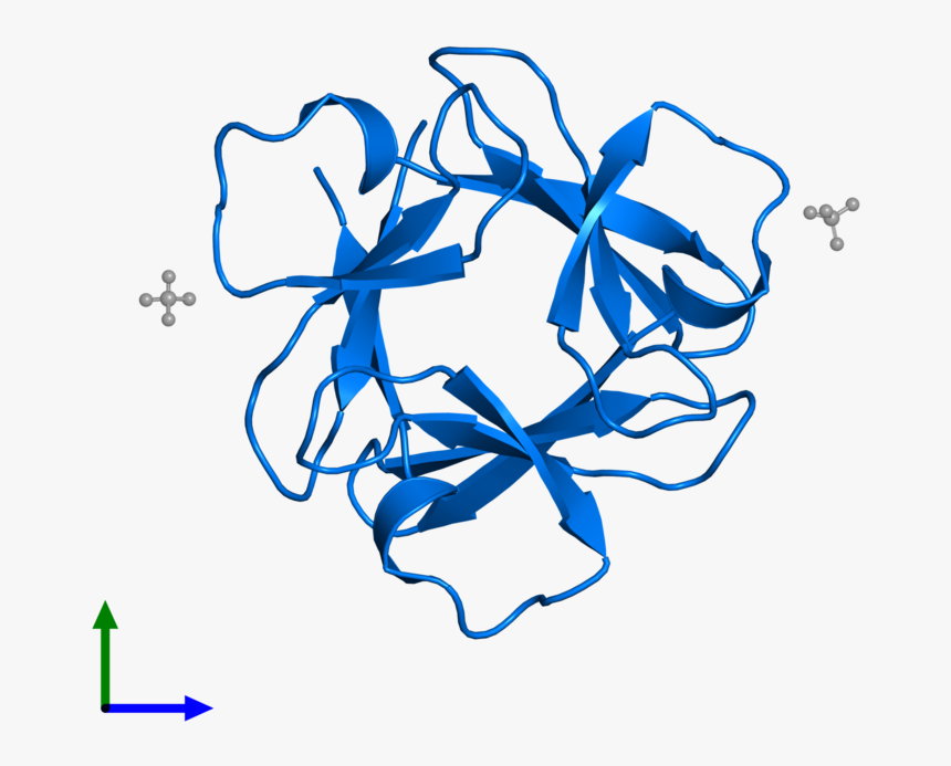 Colorfulness, HD Png Download