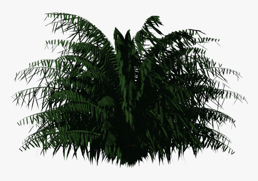 Greenhouse Plants Png, Transparent Png