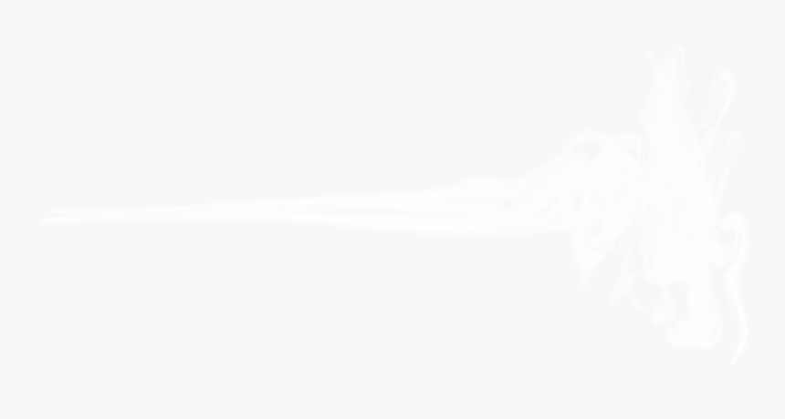 Still Life Photography, HD Png Download