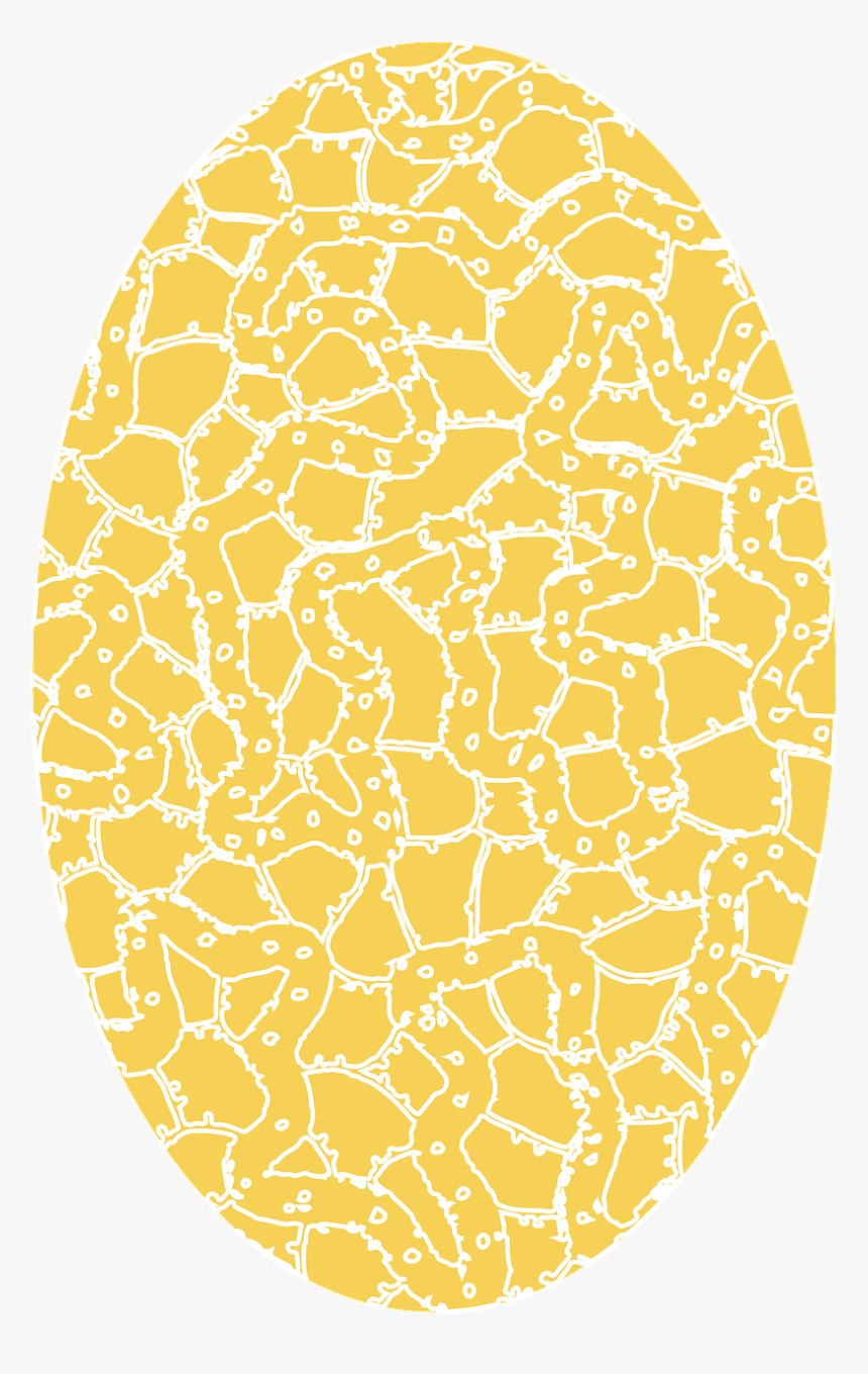 Circle, HD Png Download