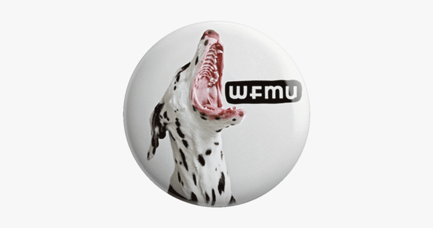 Murro The Dalmation Pin - Dog Catches Something, HD Png Download