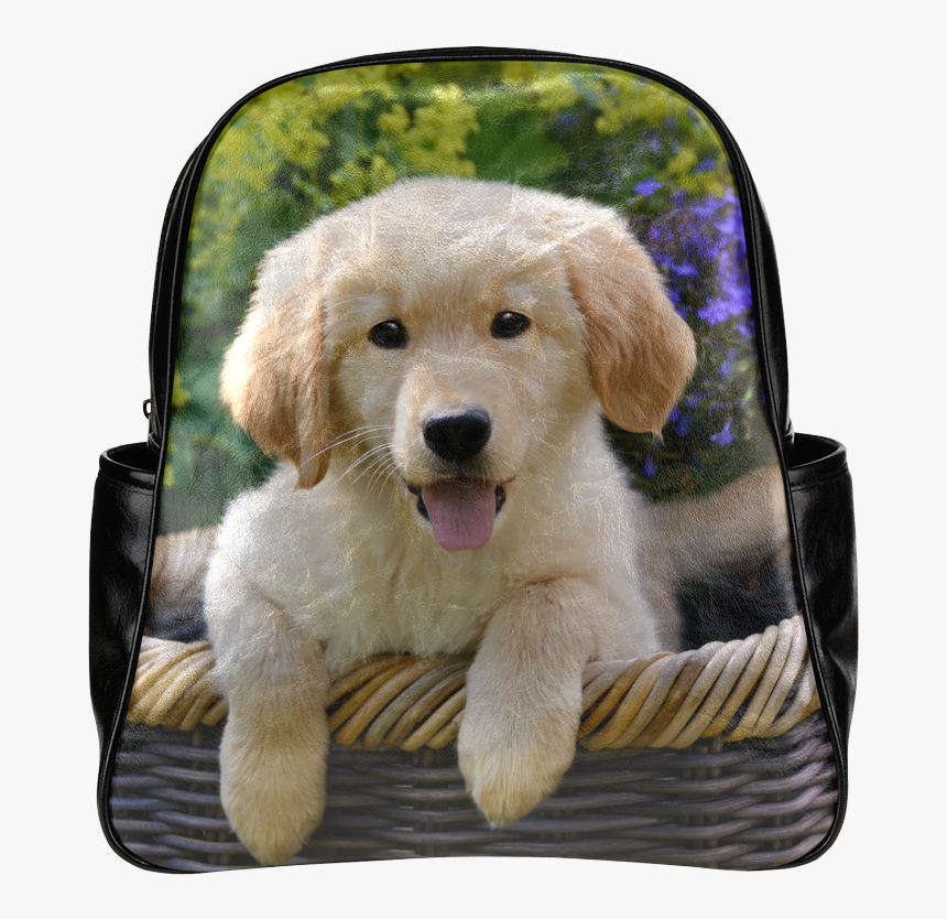 Cute Young Golden Retriever Dog Goldie Puppy Portrait - Golden Retriever Puppy In A Pocket, HD Png Download