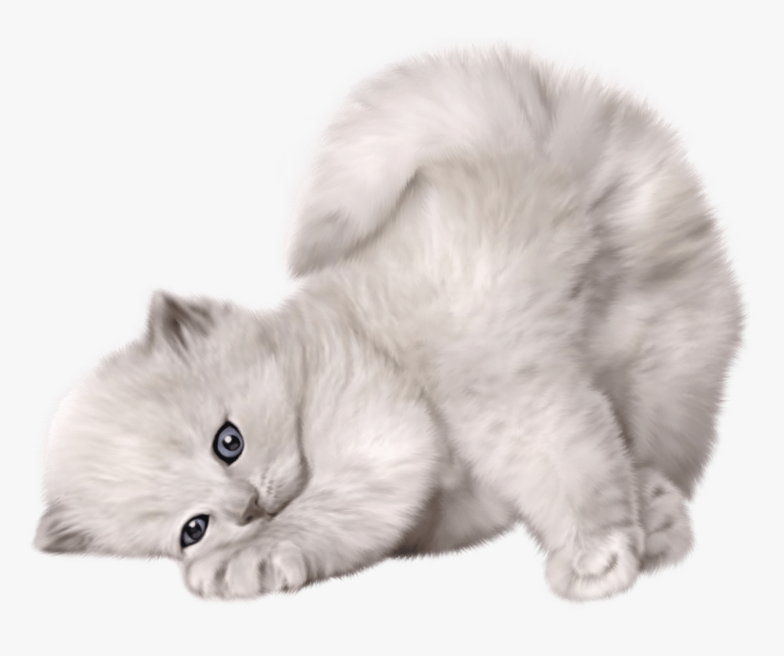 Cute Cat Png, Transparent Png