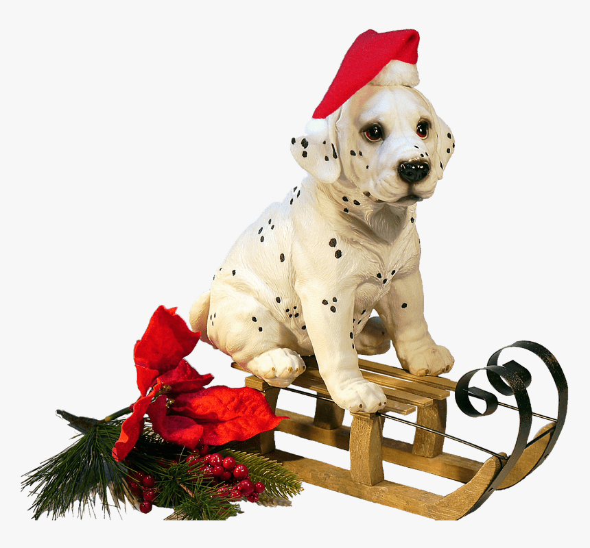 Dalmatian Clipart Christmas - Cane Natale Png, Transparent Png