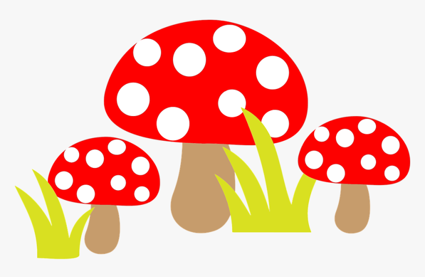 Fungus, Mushrooms, Poisonous, Toadstools, HD Png Download