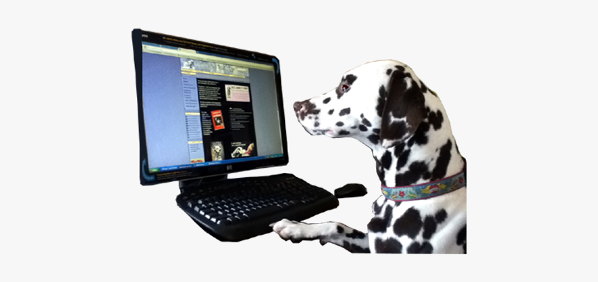 Dalmatian, HD Png Download