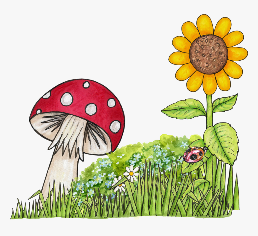 Toadstools Clip Art, HD Png Download