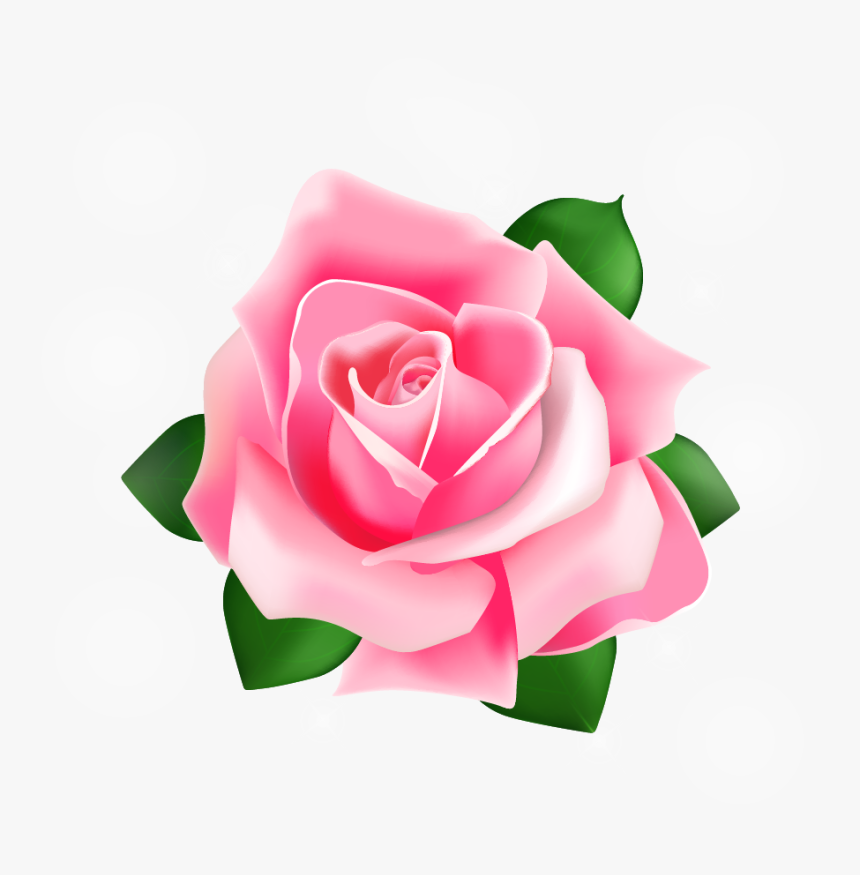 Rose Vector Png Download - Pink Rose Vector Png, Transparent Png