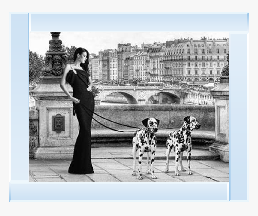 Lady Black Dress Dalmatian Dog Prints, HD Png Download