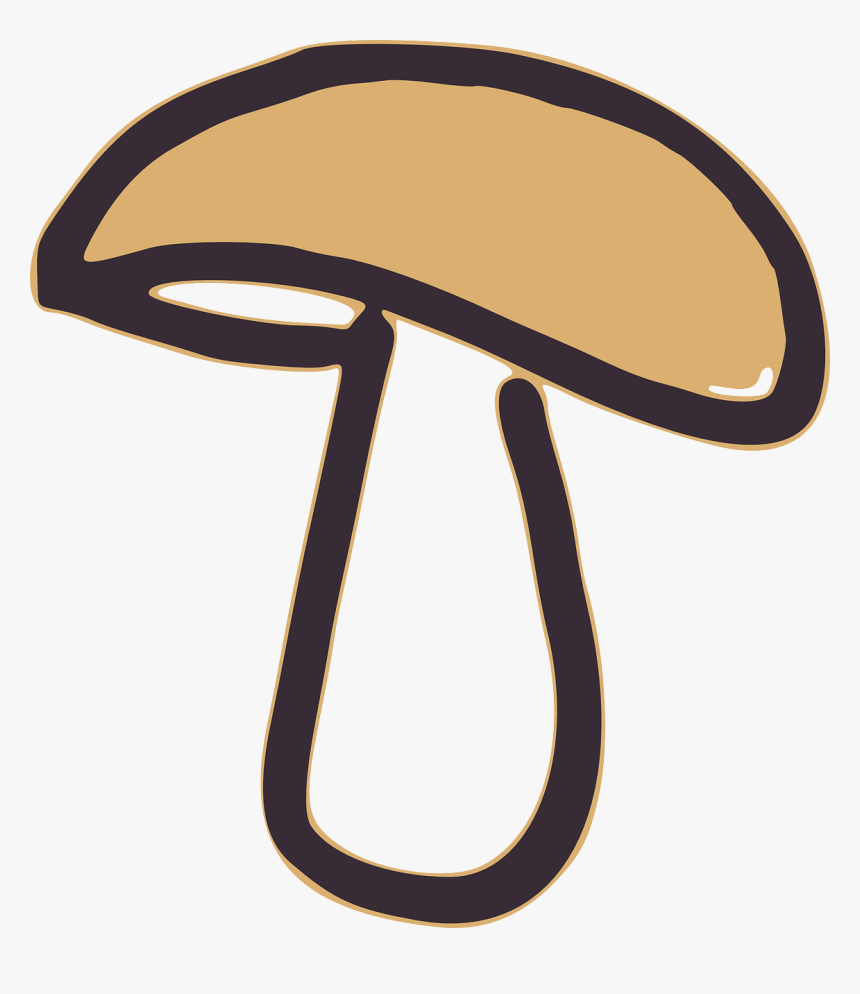 فطر Clipart, HD Png Download