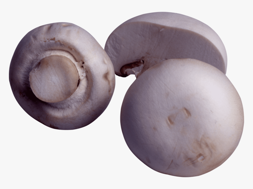 Transparent Toadstool Png - Шампиньон Пнг, Png Download