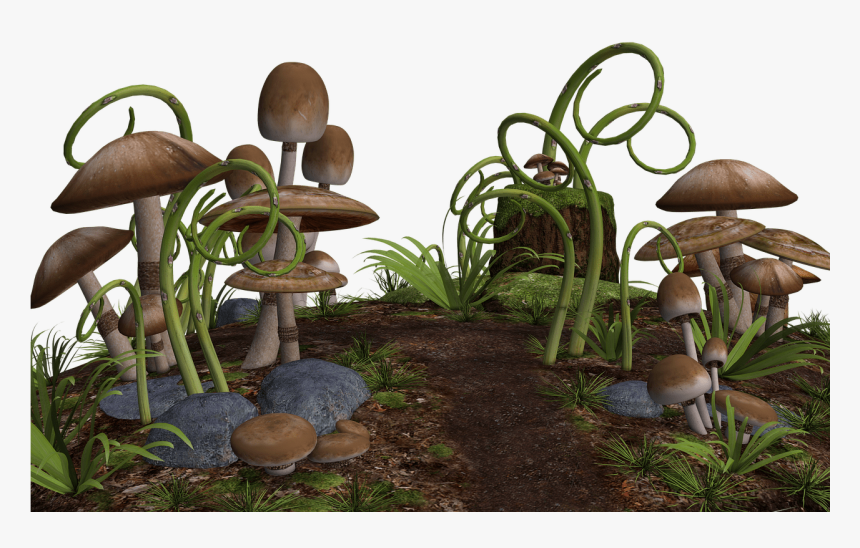 Mushrooms Along Path - Fantasy Mushrooms Png, Transparent Png