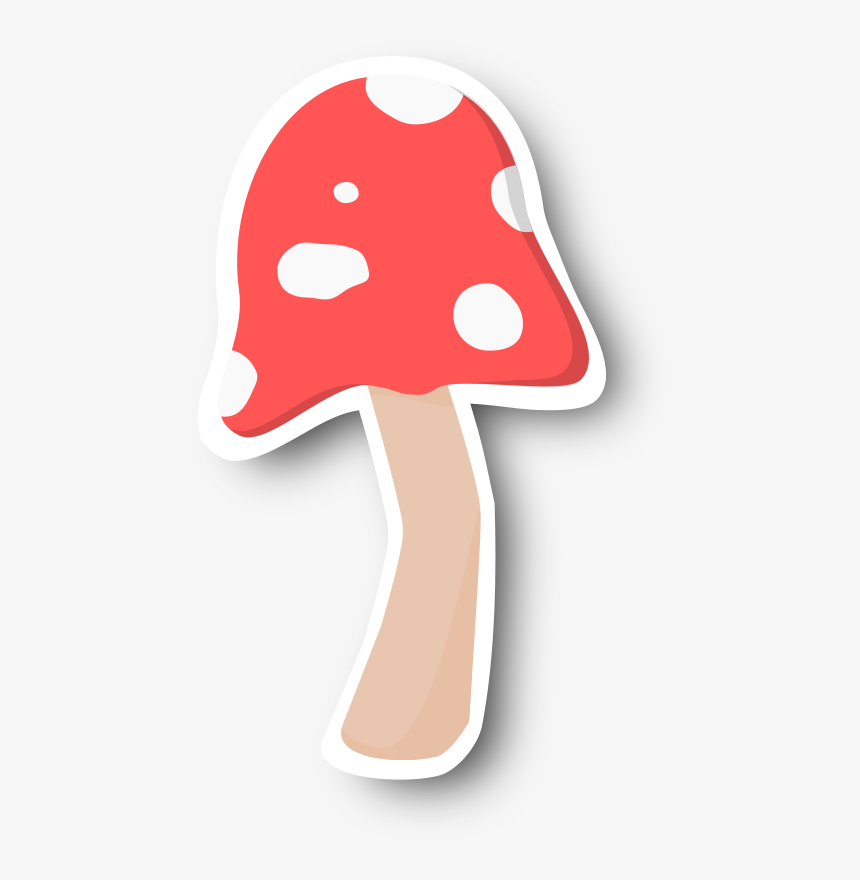 This Png File Is About Toadstool , Cut Out , Shroom - Shiitake, Transparent Png