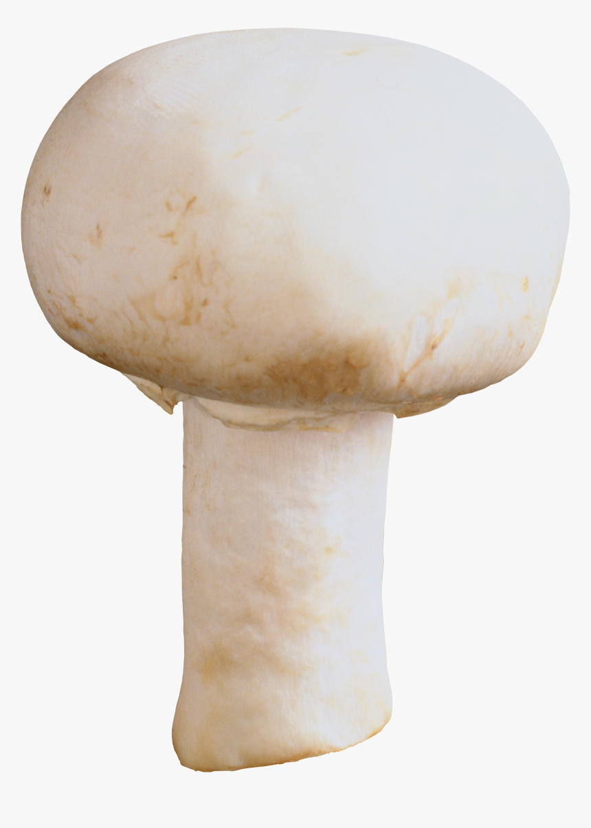 Mushroom Png Image - Mushroom Png, Transparent Png