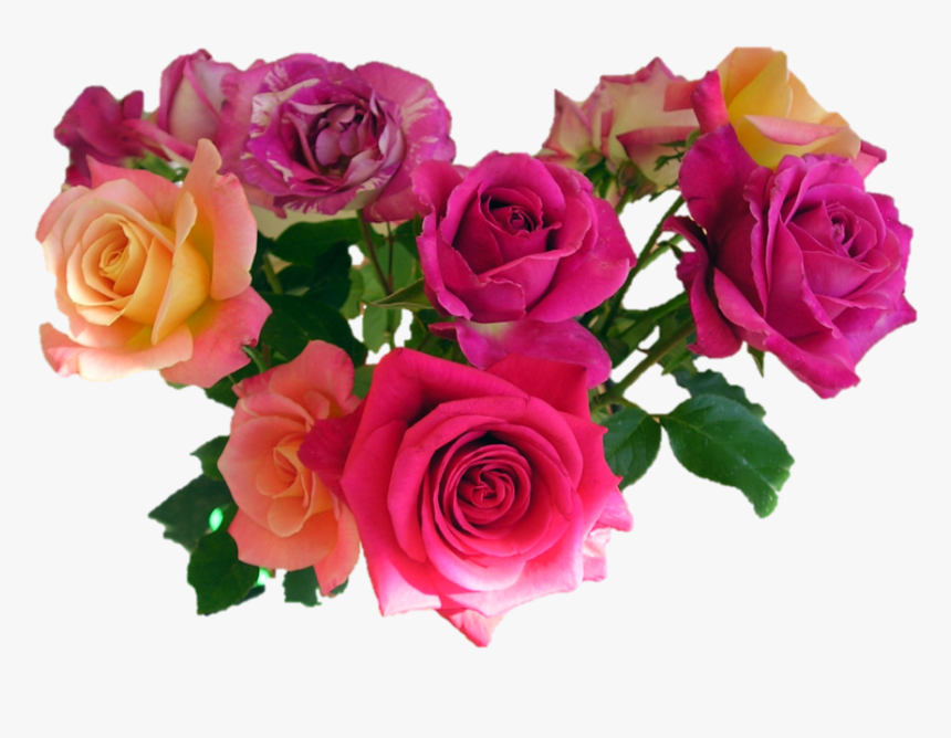 Flowers Png, Transparent Png
