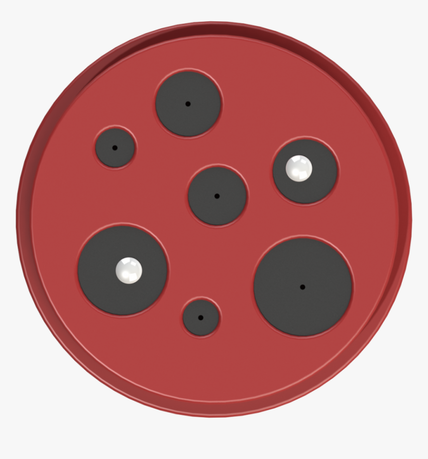 Circle, HD Png Download