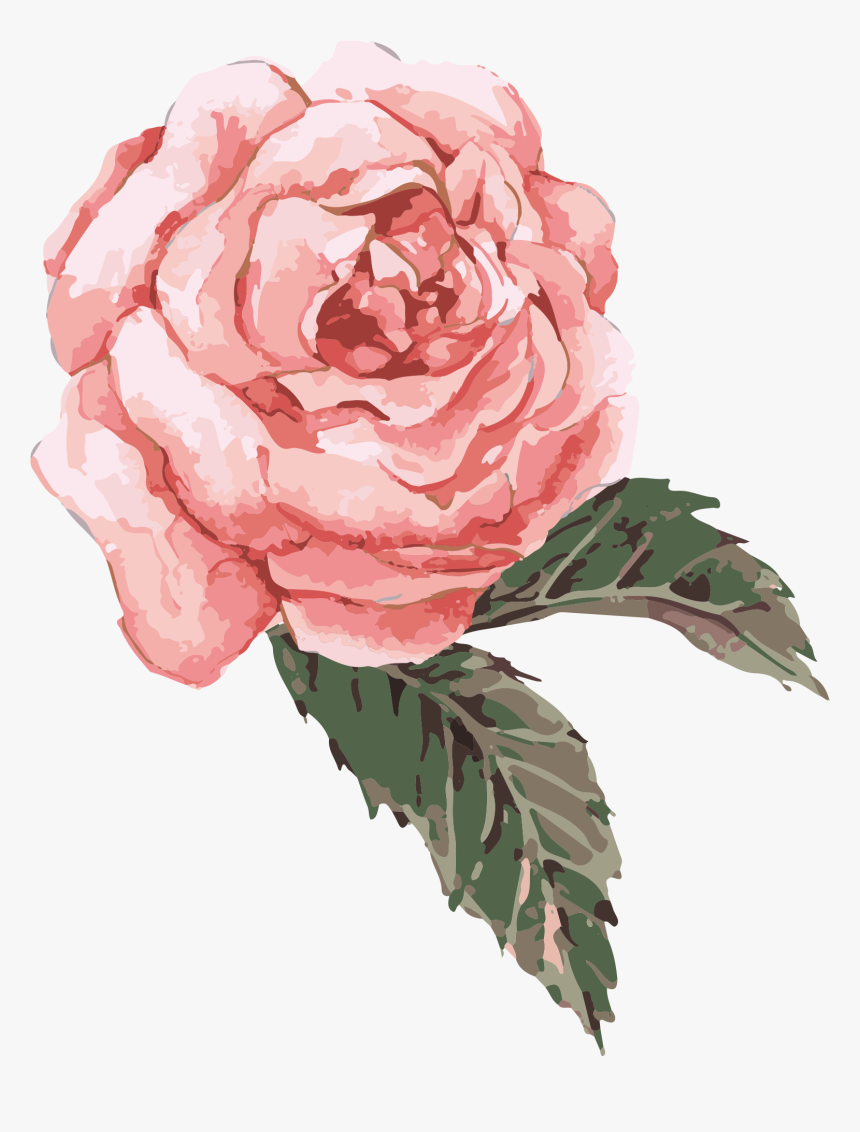 Clip Art Watercolor Roses Watercolor Pink Flowers Png Transparent Png Transparent Png Image Pngitem