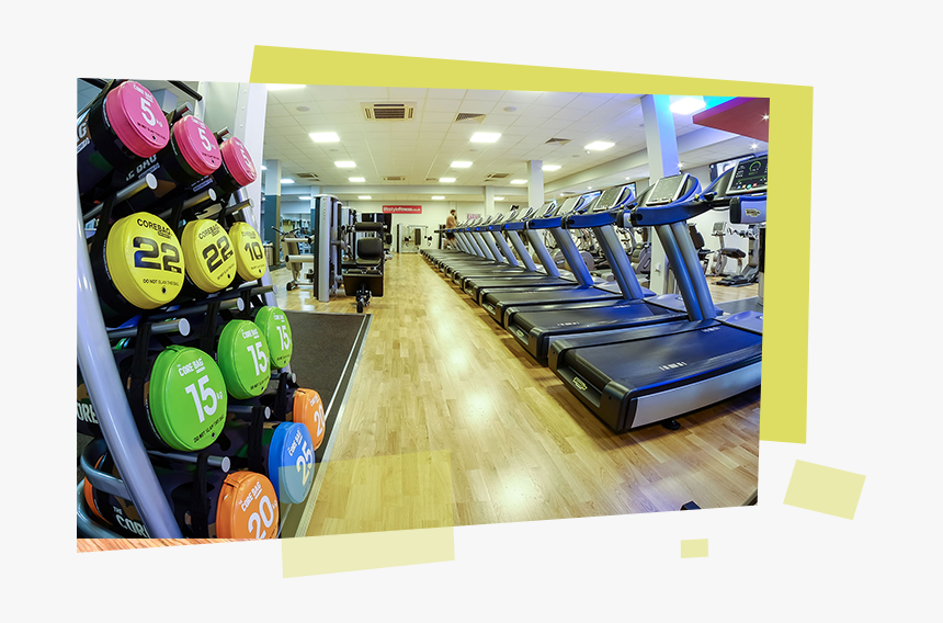 Lifestyle Fitness Gym - Uni Of Liverpool Sports And Fitness Centre, HD Png Download